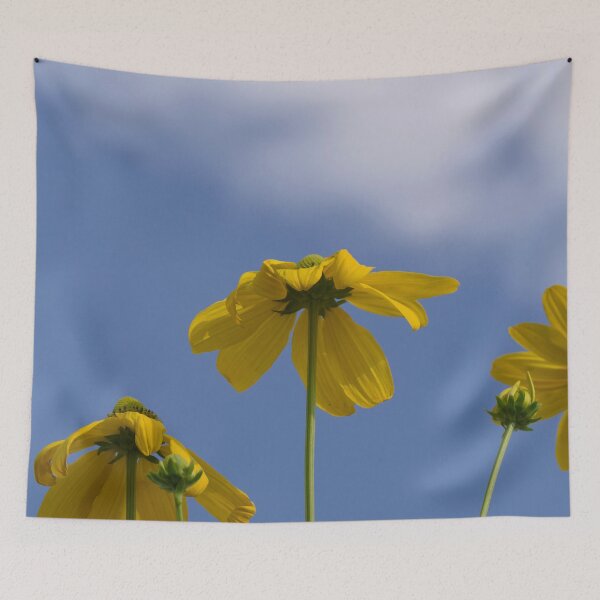 Item preview, Yellow coneflowers in blue sky designed and sold by Cblifeisgood.