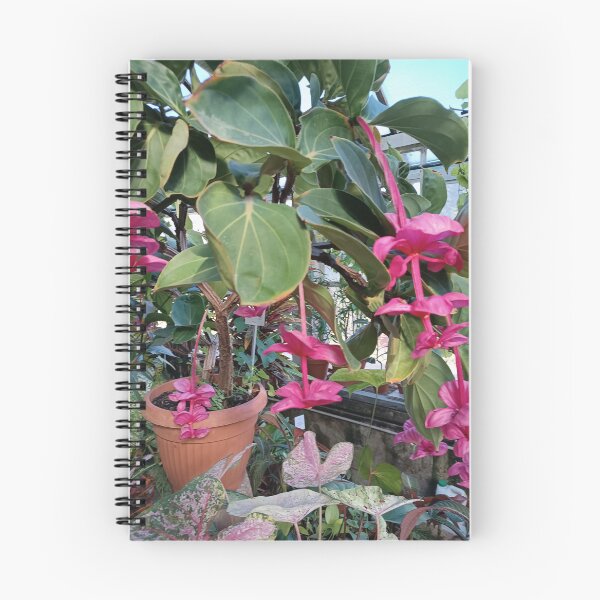 Item preview, exotic flowers, pink flowers, flower designed and sold by colorgallery11.