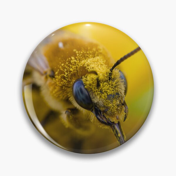 Item preview, Closeup of bee covered in pollen designed and sold by Cblifeisgood.