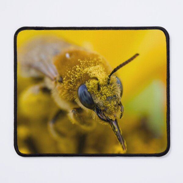 Item preview, Closeup of bee covered in pollen designed and sold by Cblifeisgood.