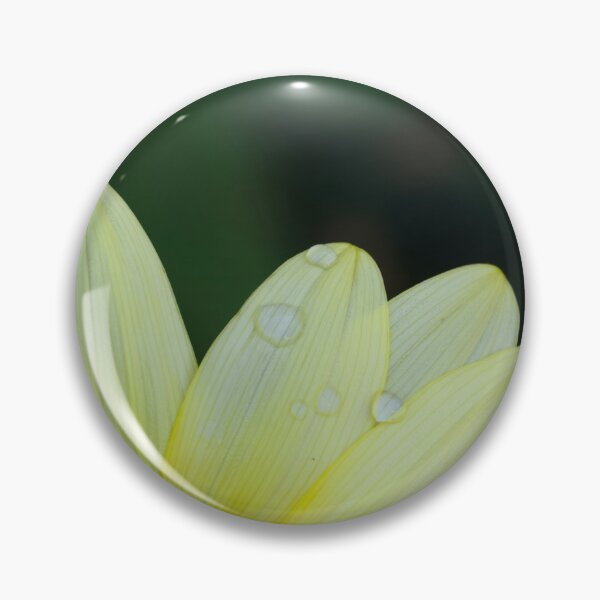 Item preview, Color photo of sunflower petals up close  designed and sold by Cblifeisgood.