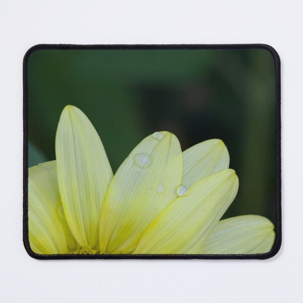 Item preview, Color photo of sunflower petals up close designed and sold by Cblifeisgood.