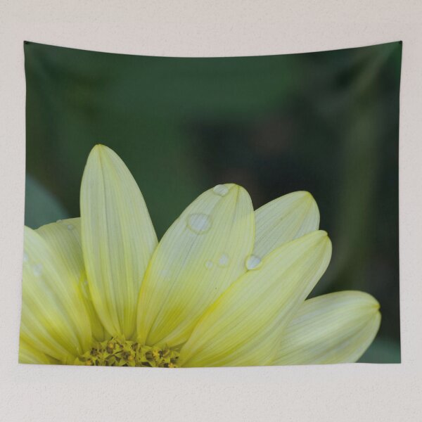 Item preview, Color photo of sunflower petals up close  designed and sold by Cblifeisgood.