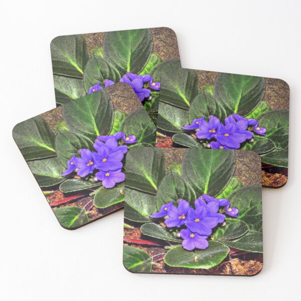 Item preview, African Violets  designed and sold by Savannah Gibbs.