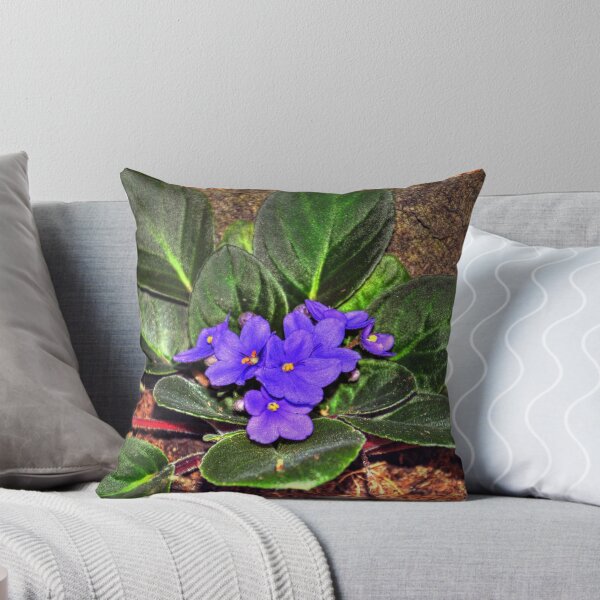 Item preview, African Violets  designed and sold by Savannah Gibbs.