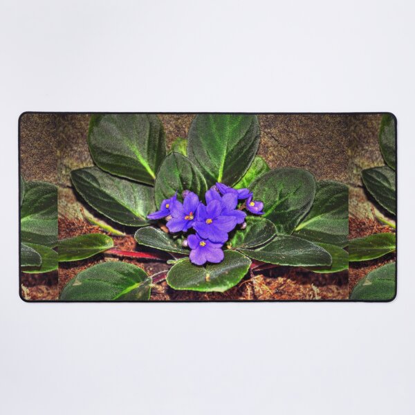 Item preview, African Violets  designed and sold by Savannah Gibbs.