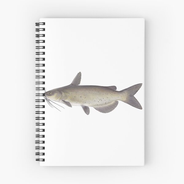 Item preview, Channel Catfish Sticker designed and sold by dex1one.