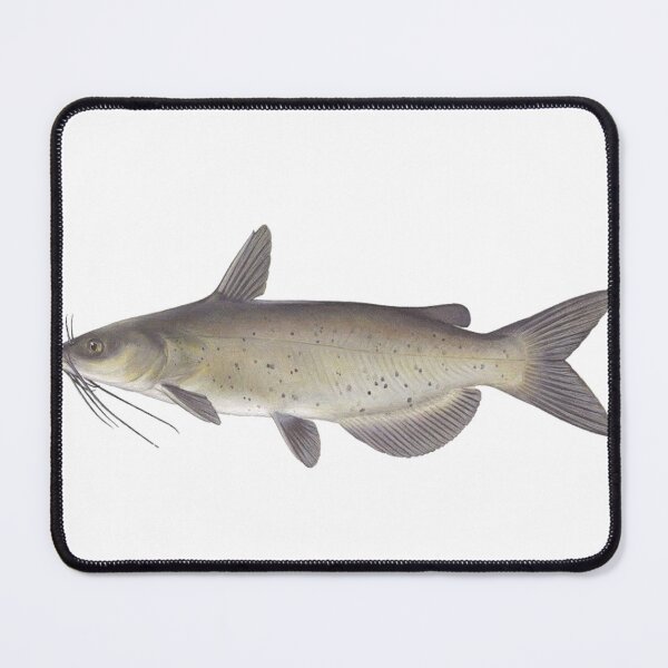 Item preview, Channel Catfish Sticker designed and sold by dex1one.
