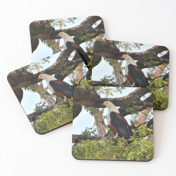 Item preview, Fish eagle, Chobe River, Botswana designed and sold by FranWest.