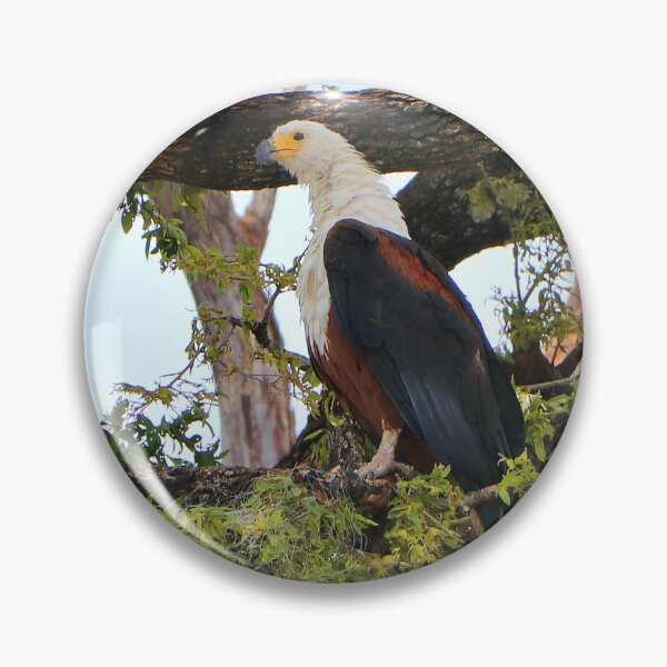 Item preview, Fish eagle, Chobe River, Botswana designed and sold by FranWest.