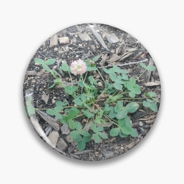 Item preview, Clover Patch designed and sold by Spaghetti13.