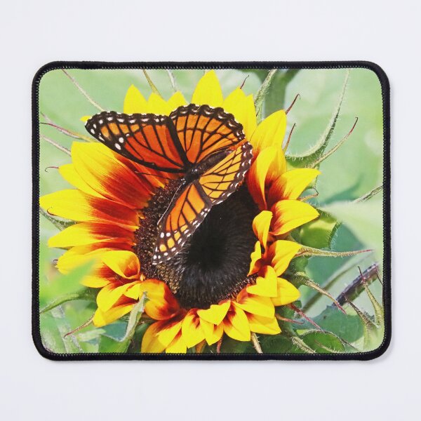 Item preview, Viceroy And Sunflower designed and sold by Deb Oppermann.
