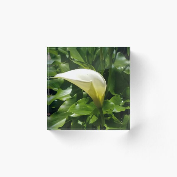 Item preview, Peace Lily designed and sold by HeartisticSoul.
