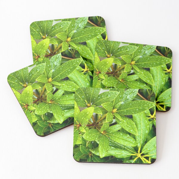 Item preview, Taurus Gathering designed and sold by South Bay Storyteller .
