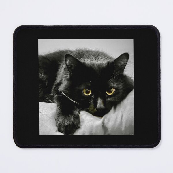 Item preview, Black Manx Cat - Yellow Eyes designed and sold by Bugz9292.