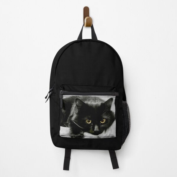 Item preview, Black Manx Cat - Yellow Eyes designed and sold by Bugz9292.