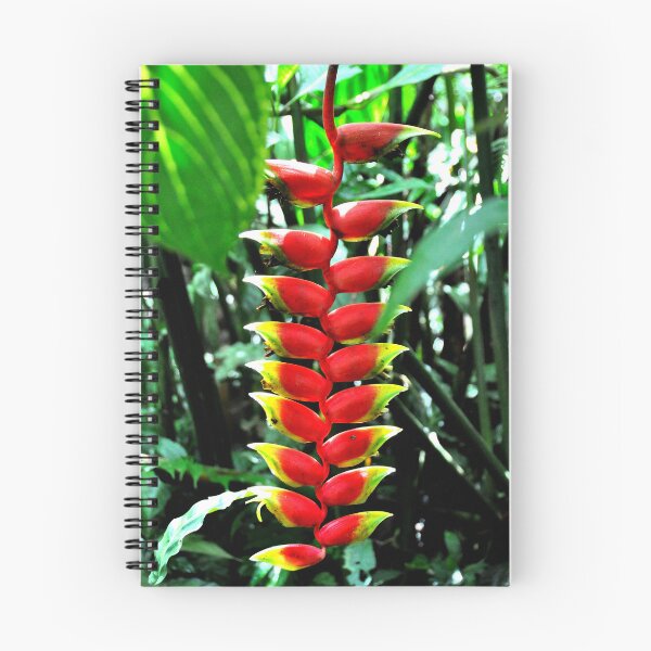Item preview, The Tropical Exuberance of Heliconia in Bali designed and sold by franck380.