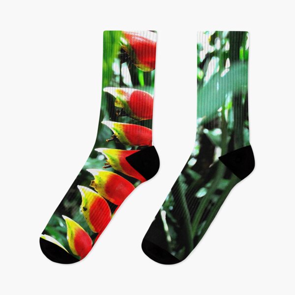 Item preview, The Tropical Exuberance of Heliconia in Bali designed and sold by franck380.