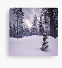 Earth's Little Treasures Canvas Print