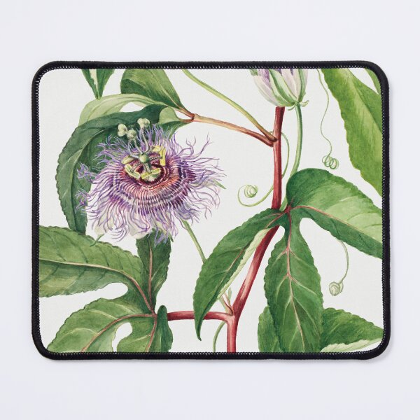 Item preview, Passionfruit Flower  designed and sold by ncbennett.