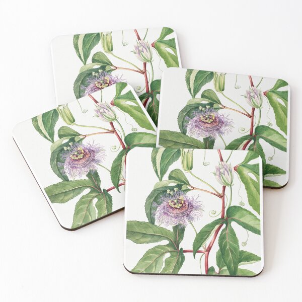 Item preview, Passionfruit Flower  designed and sold by ncbennett.