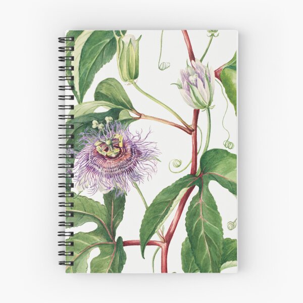 Item preview, Passionfruit Flower  designed and sold by ncbennett.