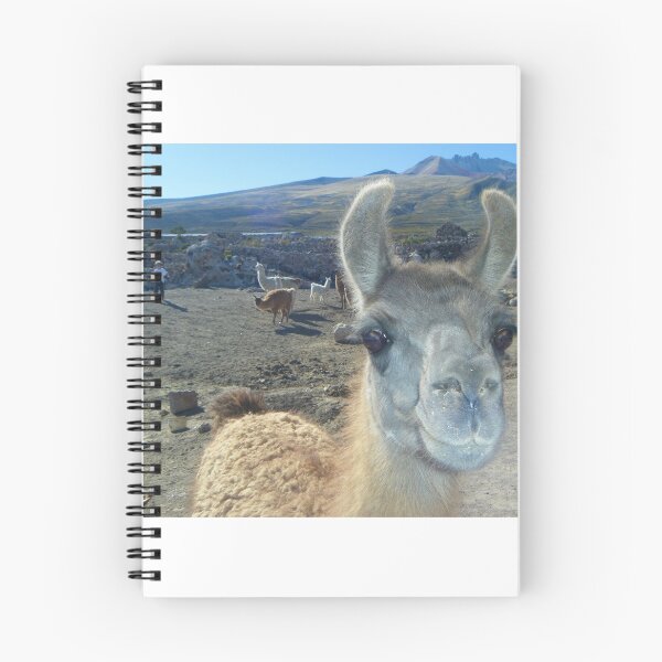 Item preview, Luscious Llama Lashes - Uyuni - Bolivia, South America designed and sold by exploramum.