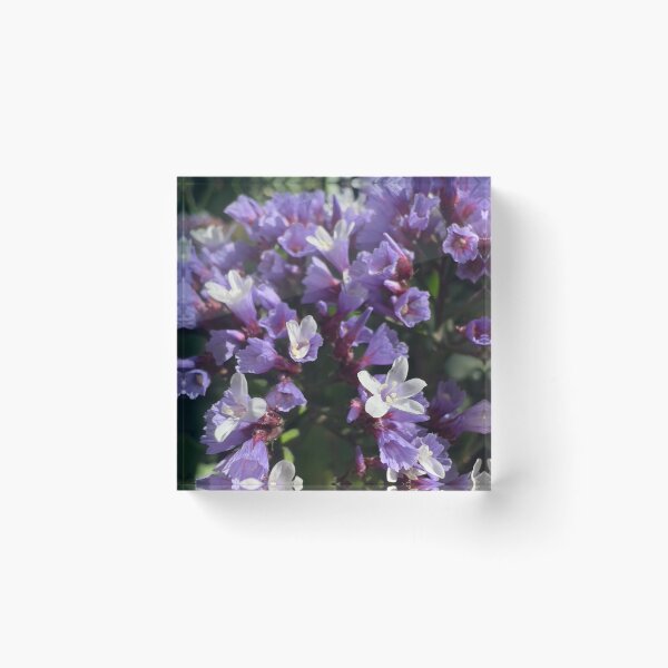 Item preview, Dea Lavender designed and sold by Betsy Phillips.
