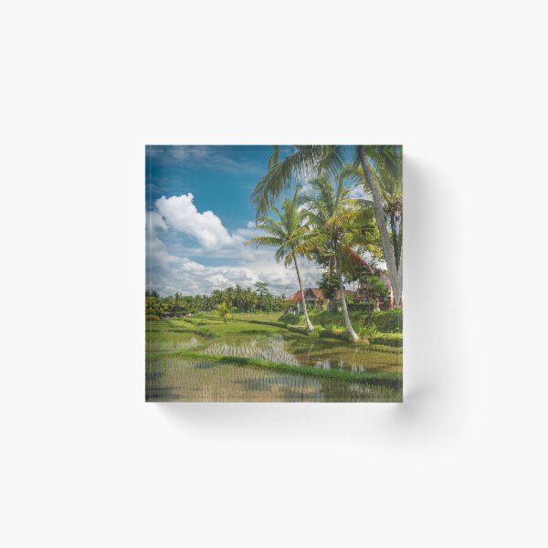 Item preview, Arrozales de Ubud designed and sold by JohnKarmouche.