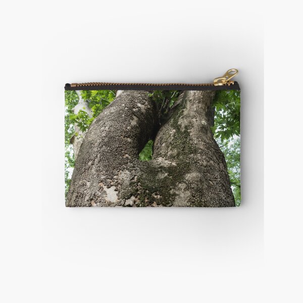 Item preview, The Rough Bark of a Mighty Sycamore Tree designed and sold by Georgia Mizuleva.