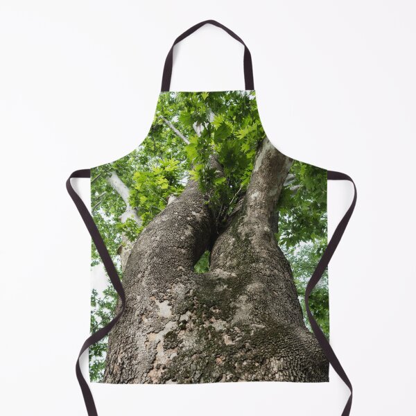 Item preview, The Rough Bark of a Mighty Sycamore Tree designed and sold by Georgia Mizuleva.