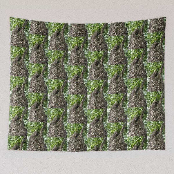 Item preview, The Rough Bark of a Mighty Sycamore Tree designed and sold by Georgia Mizuleva.