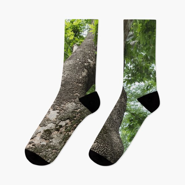 Item preview, The Rough Bark of a Mighty Sycamore Tree designed and sold by Georgia Mizuleva.