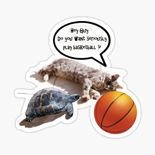 Vista previa del artículo con la obra «CAT, TORTUGA Y BALONCESTO», diseñado y vendido por BulganLumini.