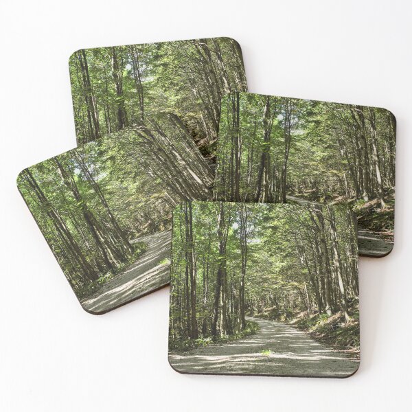 Item preview, Forest landscape in summer designed and sold by colliophoto.