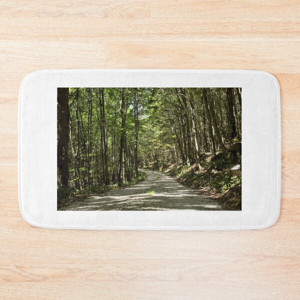 Item preview, Forest landscape in summer designed and sold by colliophoto.