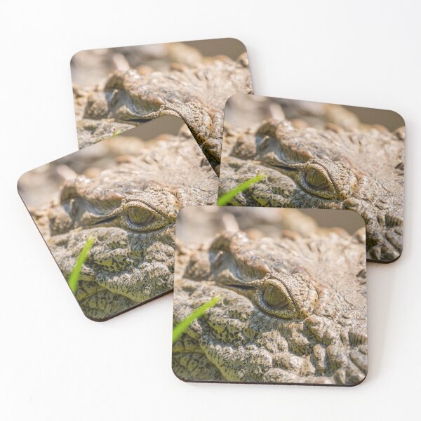 Item preview, Nile Crocodile designed and sold by MyAfricanSafari.