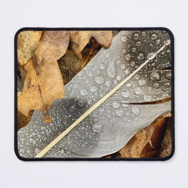 Item preview, Feather in the rain designed and sold by Zolachrome Photography.