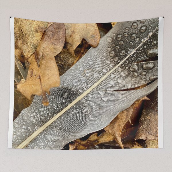 Item preview, Feather in the rain designed and sold by Zolachrome Photography.