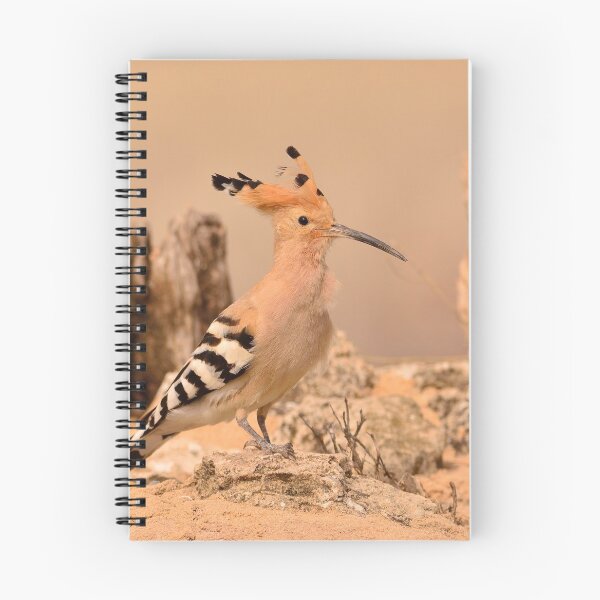 Item preview, Eurasian Hoopoe designed and sold by DesignAstur.