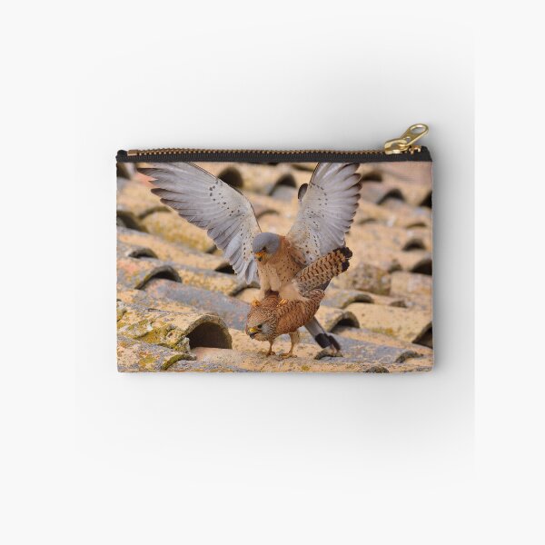Item preview, Male and female of Lesser kestrel. designed and sold by DesignAstur.