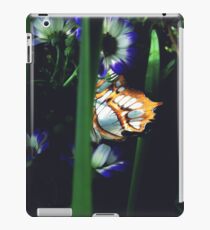 butterfly iPad Case/Skin