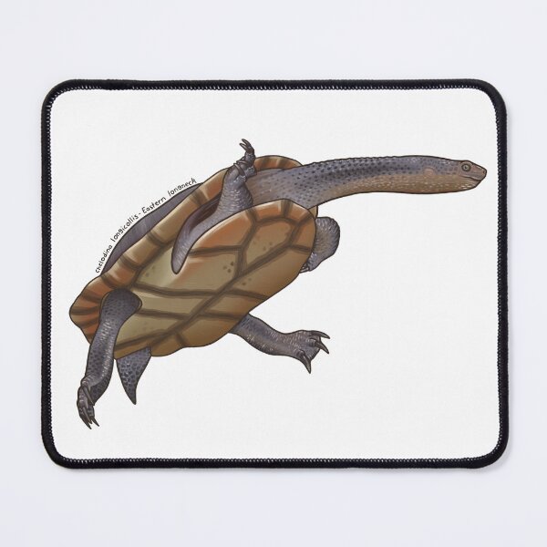 Item preview, Eastern long neck turtle (Chelodina longicollis) designed and sold by StinaDraws.