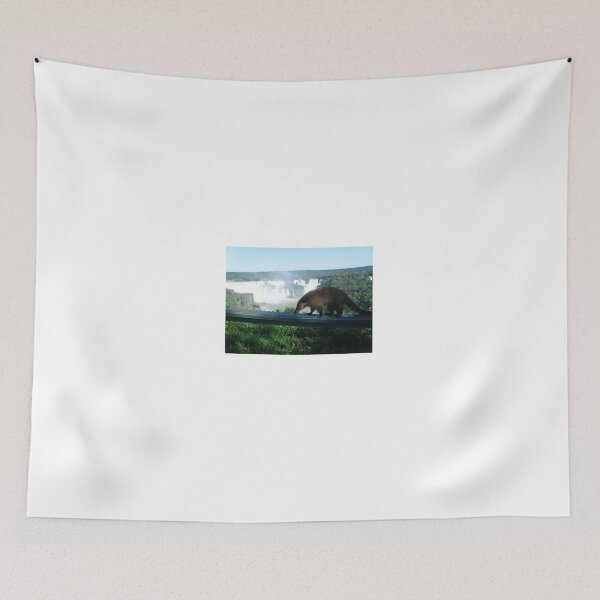 Item preview, Coatis At Foz do Iguacu - Iguazu Falls - Brazil, South America designed and sold by exploramum.