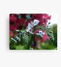 Tiny Flowers Canvas Print
