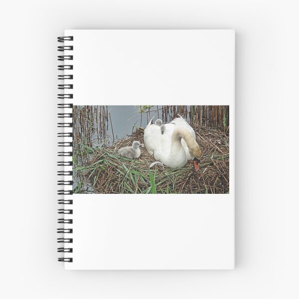 Item preview, Swan And Her Young At Seaton, Devon designed and sold by lynn carter.