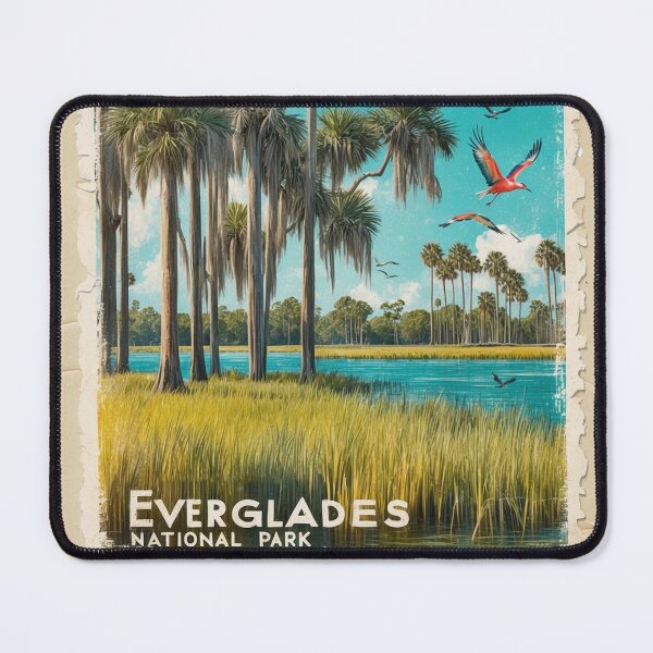 Item preview, Everglades National Park Postcard Vintage Retro Travel designed and sold by TravelPostcardGems.
