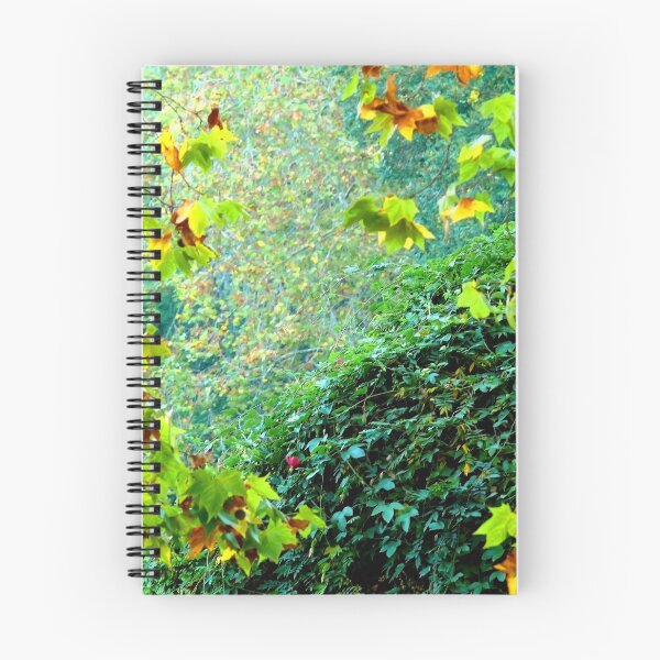 Item preview, transparency designed and sold by Tereza Pilar  Art.