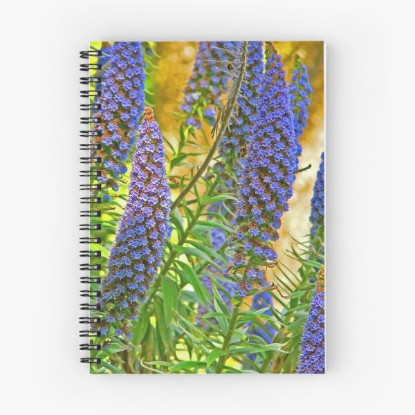Item preview, jardim da regaleira designed and sold by Tereza Pilar  Art.