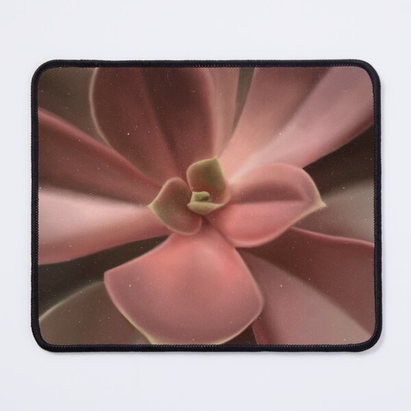 Item preview, Red to green ombré succulent plant. designed and sold by Kerrie Owens.